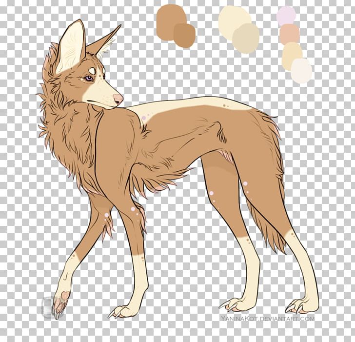 Coyote Dog Breed Maned Wolf Jackal PNG, Clipart, 2016, Animals, Breed, Carnivoran, Coyote Free PNG Download