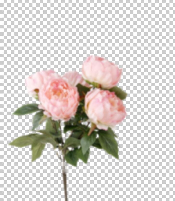 Garden Roses Flower Bouquet Artificial Flower Cabbage Rose PNG, Clipart, Artificial Flower, Blossom, Blume, Cut Flowers, Floral Design Free PNG Download