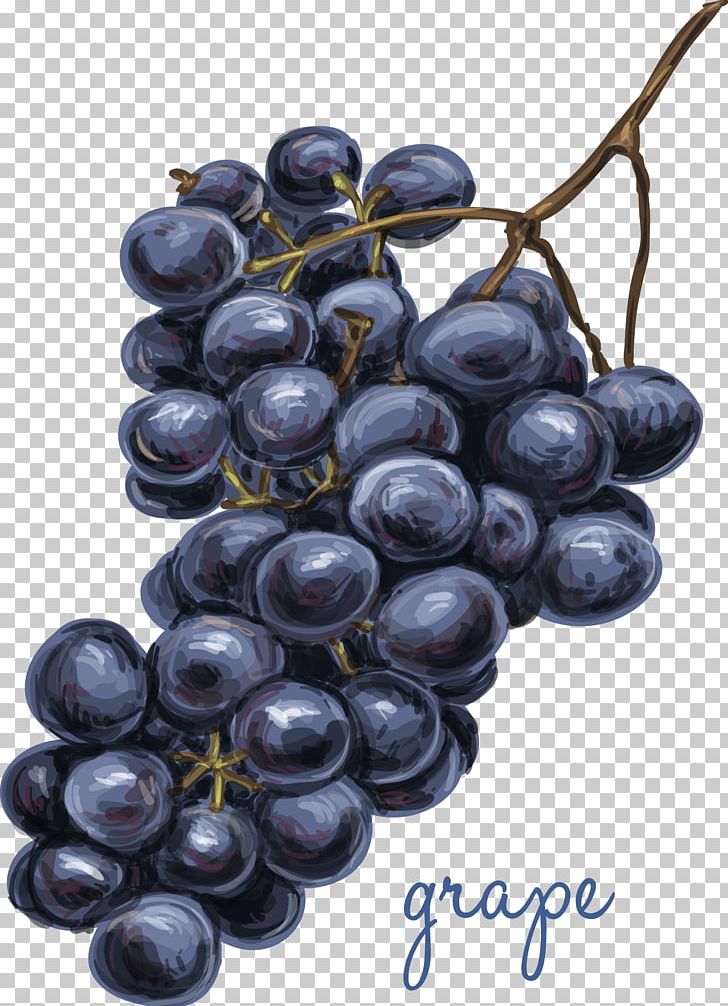 Juice Drawing Grapefruit PNG, Clipart, Bilberry, Blueberry, Food, Fruit, Fruit Nut Free PNG Download