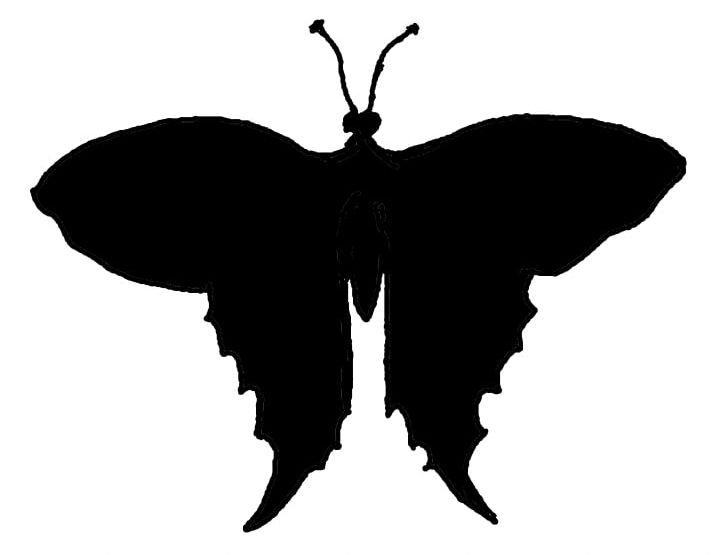 Butterfly Silhouette Photography PNG, Clipart, Art, Black, Black, Brush Footed Butterfly, Butterfly Free PNG Download