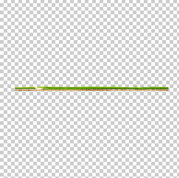 Green Plant Angle PNG, Clipart, Angle, Background Green, Cao Zhang, Fresh, Grain Free PNG Download