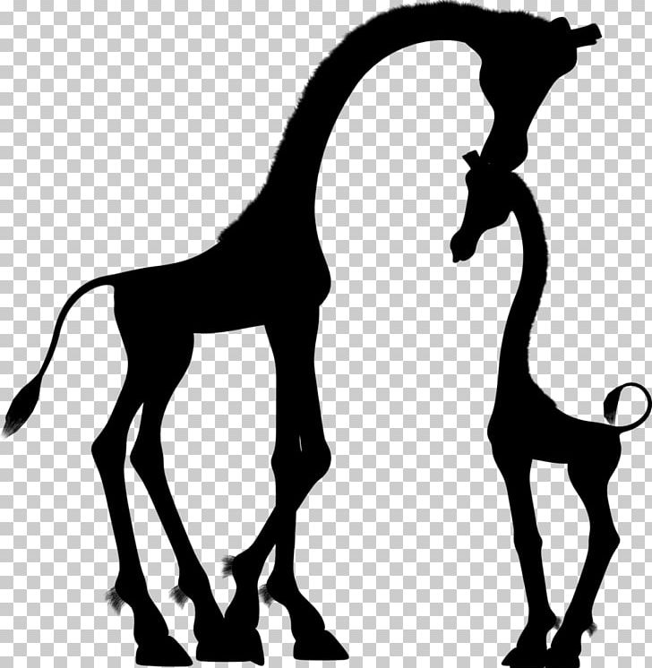 Reticulated Giraffe Silhouette Mother Child PNG, Clipart, Animals, Black And White, Child, Colt, Fauna Free PNG Download