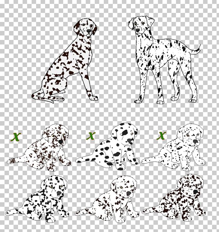 Dalmatian Dog Dog Breed Non-sporting Group Pongo Art PNG, Clipart, Animal, Animal Figure, Art, Big Cats, Black And White Free PNG Download