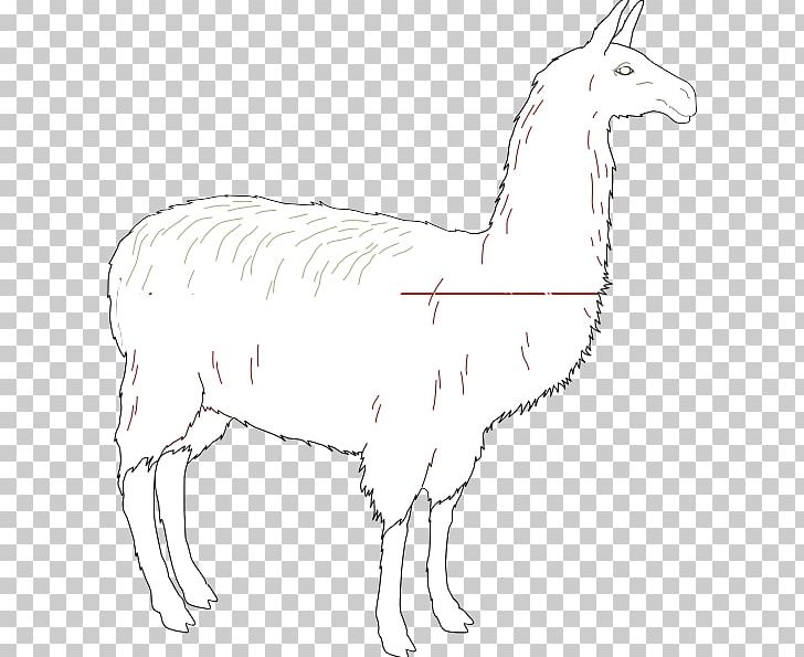 Llama Line Art Drawing PNG, Clipart, Alpaca, Animal Figure, Animals, Art, Artwork Free PNG Download