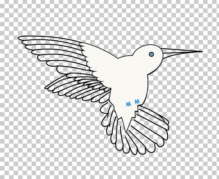 Ruby-throated Hummingbird Drawing Line Art PNG, Clipart, Archilochus, Artwork, Beak, Bird, Black And White Free PNG Download