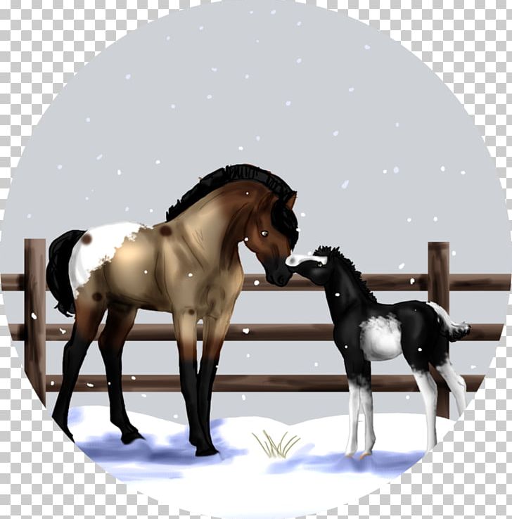 Stallion Foal Mustang Colt Mare PNG, Clipart,  Free PNG Download