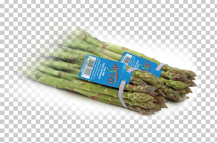Asparagus Ayco Farms Inc PNG, Clipart, Asparagus, Farm, Healthy, Healthy Eating, Healthy Living Free PNG Download
