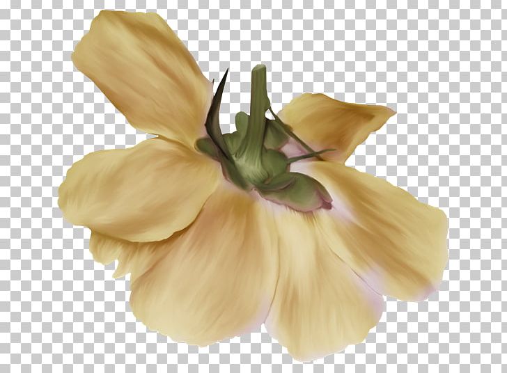 Drawing Flower Painting Line Art Floral Design PNG, Clipart, Art, Cut Flowers, Drawing, Floral Design, Flower Free PNG Download