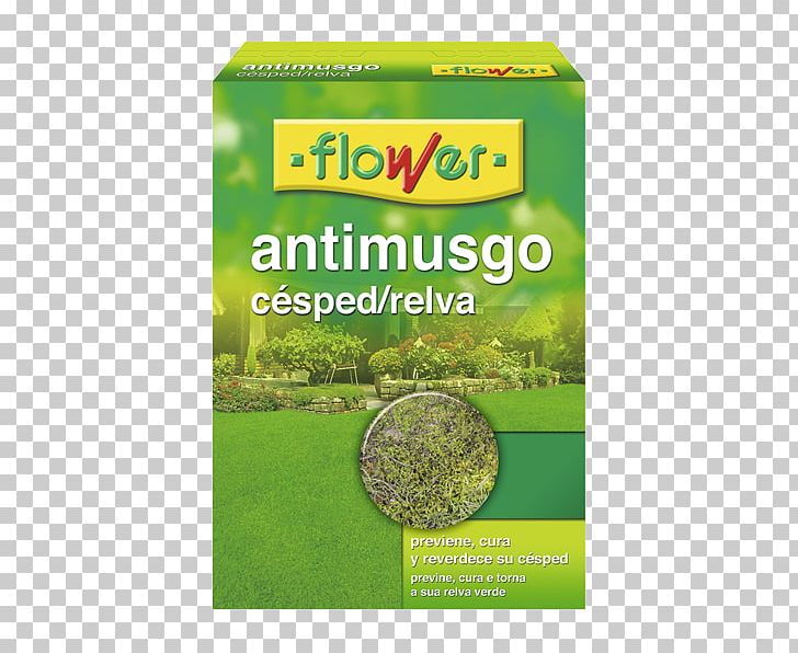 Flower Anti-Moss Lawn 40508 Food Product PNG, Clipart, Artificial Grass, Flower, Food, Grass, Herb Free PNG Download