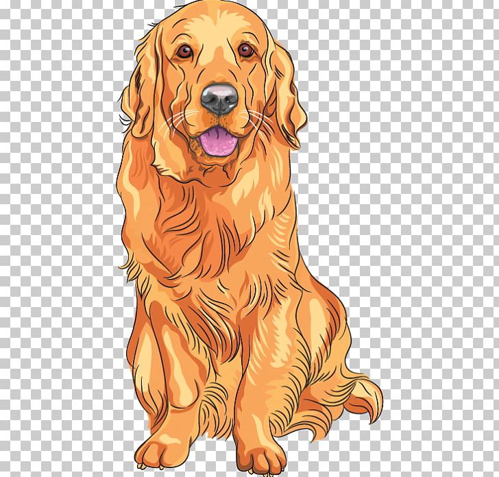 Golden Retriever Labrador Retriever PNG, Clipart, Animals, Carnivoran, Companion Dog, Dog, Dog Breed Free PNG Download