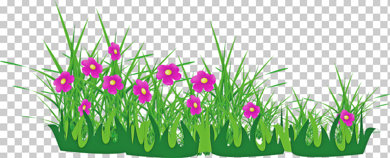 Flower Border Flower Background PNG, Clipart, Flower, Flower Background, Flower Border, Grass, Grass Family Free PNG Download