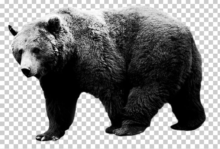 American Black Bear Grizzly Bear Alaska Peninsula Brown Bear Tumblr PNG, Clipart, Alaska Peninsula Brown Bear, American Black Bear, Animal, Animals, Bear Free PNG Download