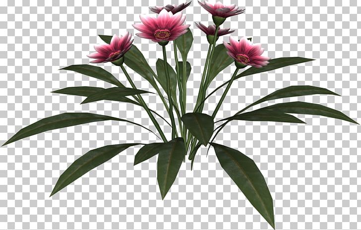 Cut Flowers Flowering Plant Flowerpot PNG, Clipart, Cut Flowers, Flora, Flower, Flowering Plant, Flowerpot Free PNG Download