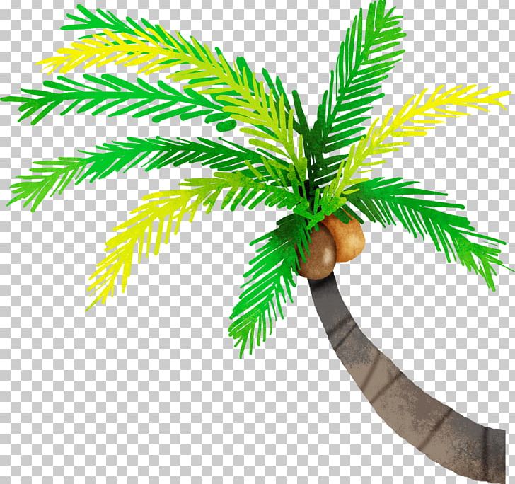Dots Coconut PNG, Clipart, Android, Arecales, Beach, Branch, Button Free PNG Download