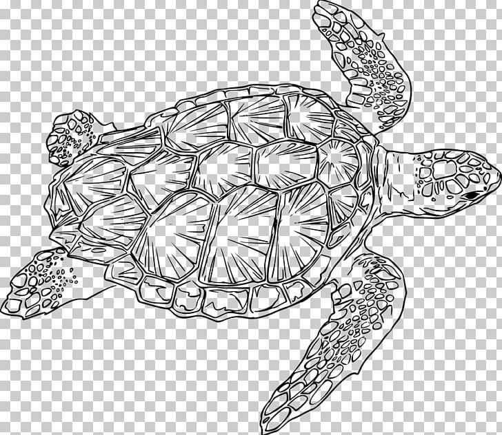 Loggerhead Sea Turtle Green Sea Turtle PNG, Clipart, Animals, Art, Artwork, Black And White, Body Jewelry Free PNG Download