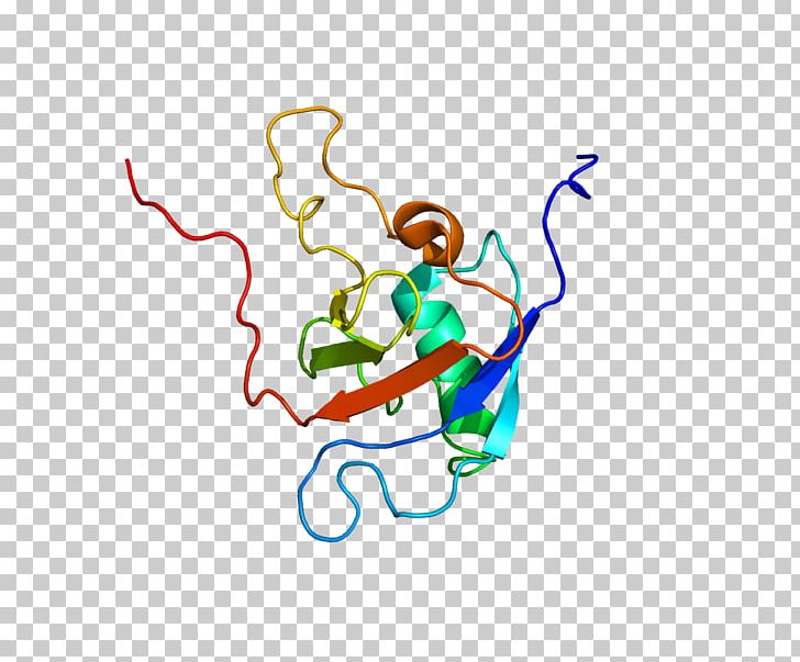 PLXNB1 Semaphorin Plexin Sema Domain Transmembrane Protein PNG, Clipart, Area, Art, Artwork, Cell, Cell Surface Receptor Free PNG Download