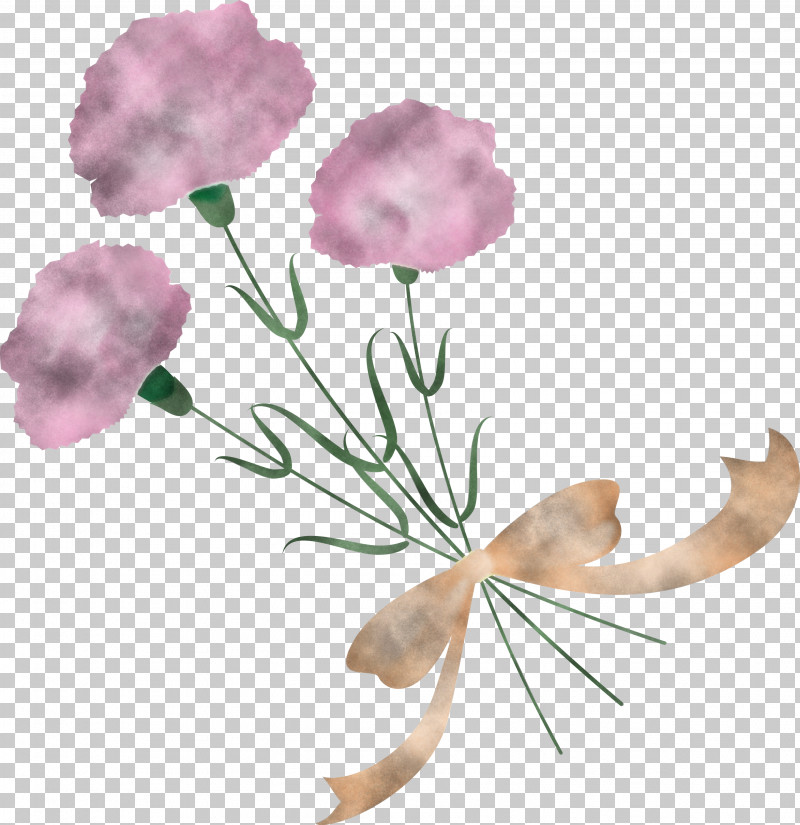 Mothers Day Carnation Mothers Day Flower PNG, Clipart, Cut Flowers, Flower, Geranium, Mothers Day Carnation, Mothers Day Flower Free PNG Download