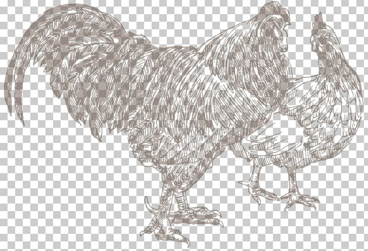 Chicken Poultry Farming Rooster Butcher PNG, Clipart, Agriculture, Animal Husbandry, Animals, Beak, Bird Free PNG Download