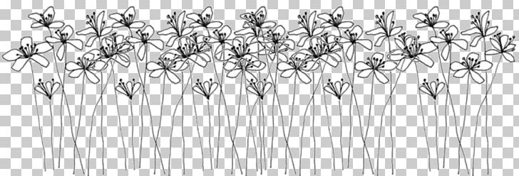 Ellsworth Kelly: Plant Drawings Doodle Flower PNG, Clipart, Art, Black And White, Branch, Drawing, Ellsworth Kelly Free PNG Download