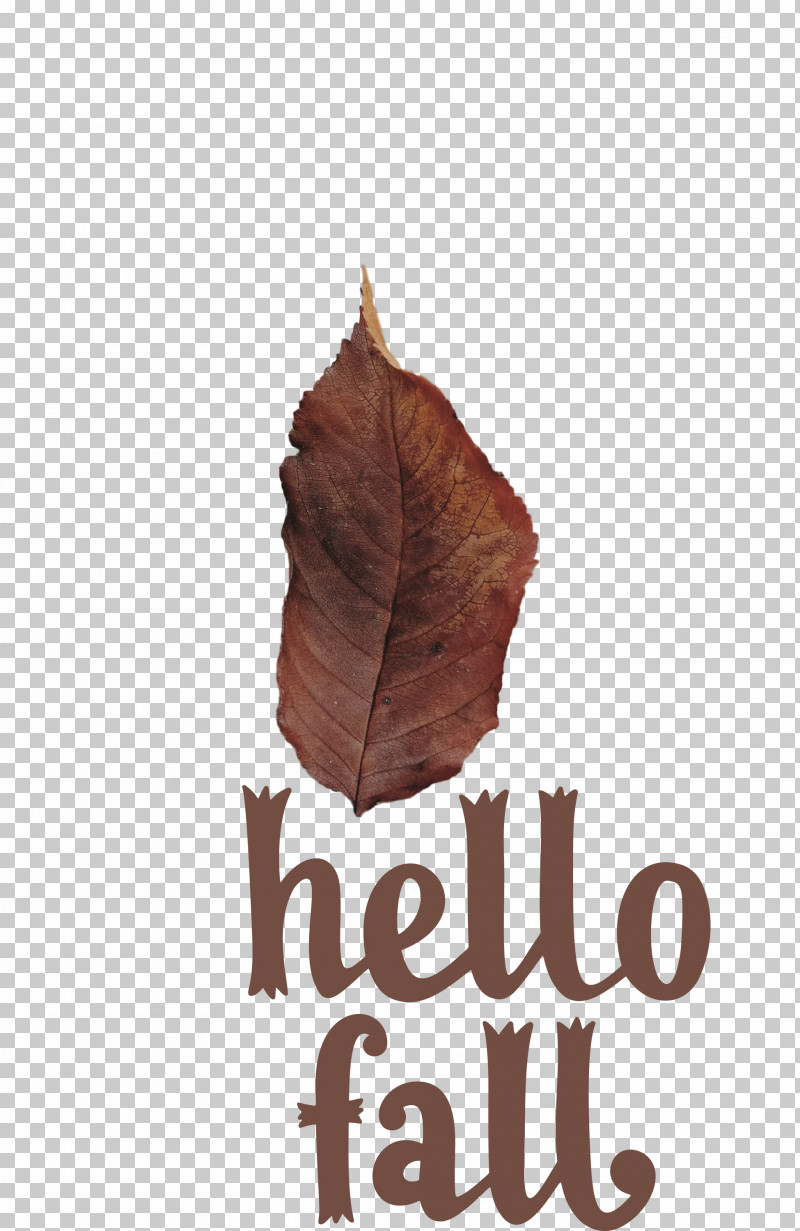 Hello Fall Fall Autumn PNG, Clipart, Autumn, Biology, Fall, Hello Fall, Leaf Free PNG Download