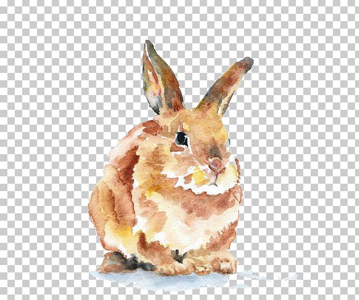 Hand-painted Rabbit PNG, Clipart, Animal, Animals, Art, Art Museum, Color Free PNG Download