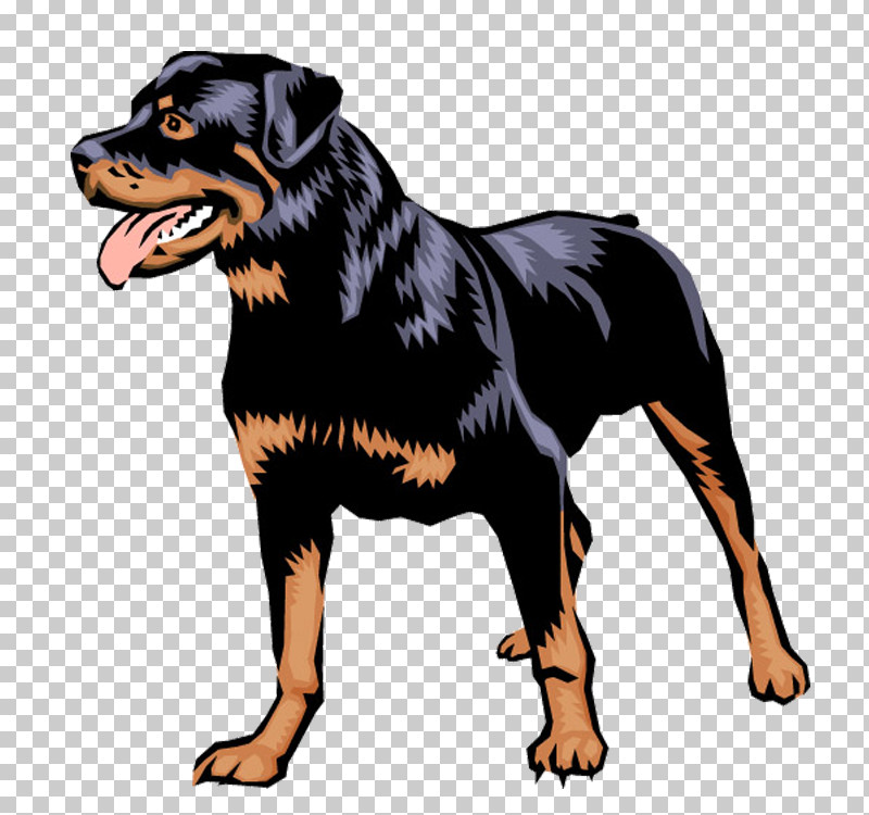 Dog Rottweiler Working Dog Companion Dog PNG, Clipart, Companion Dog, Dog, Rottweiler, Working Dog Free PNG Download