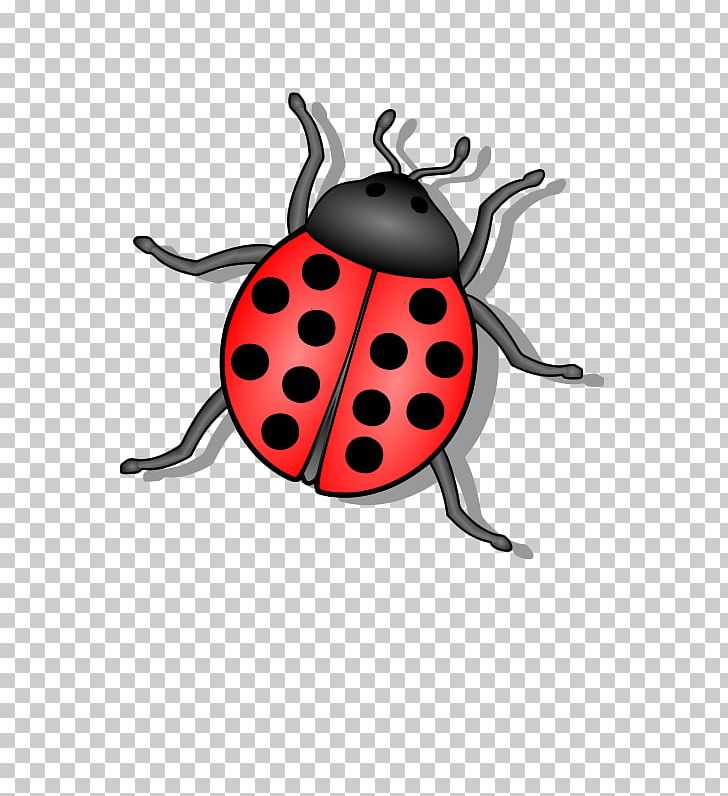 Beetle Ladybird PNG, Clipart, Animals, Arthropod, Beetle, Bug, Download Free PNG Download