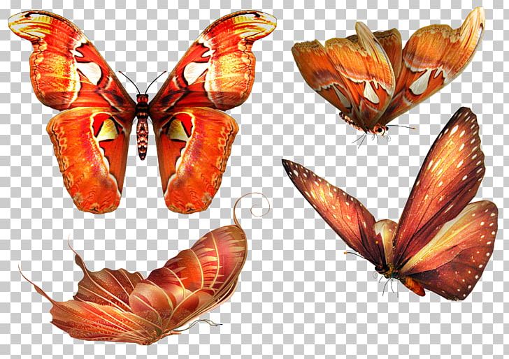 Butterfly Papillon Dog Portable Network Graphics Adobe Photoshop PNG, Clipart, Arthropod, Borboleta, Brush Footed Butterfly, Butterflies And Moths, Butterfly Free PNG Download