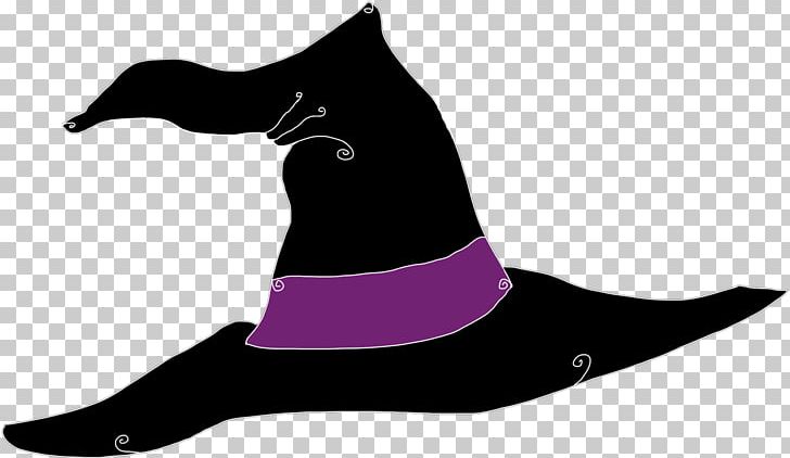 Hat Witch Headgear Chapeau PNG, Clipart, Beak, Bilberry, Bird, Bonnet, Broom Free PNG Download