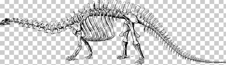 Tyrannosaurus Stegosaurus Apatosaurus Brontosaurus Triceratops PNG, Clipart, Animal Figure, Apatosaurus, Artwork, Black And White, Bone Free PNG Download