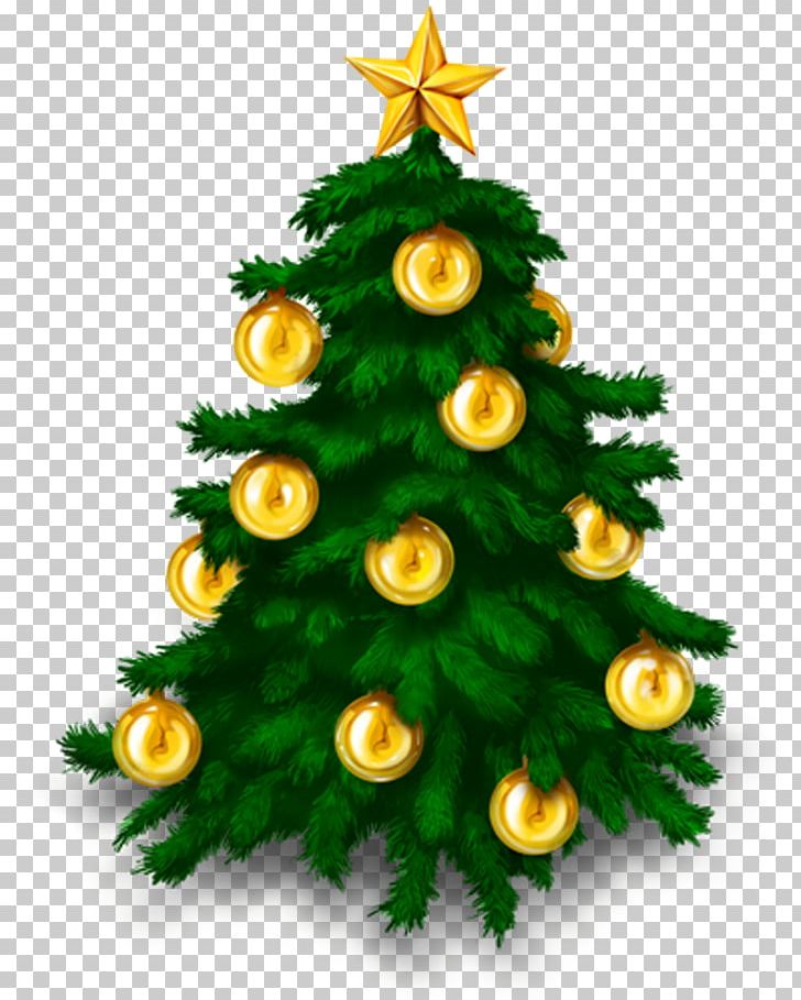 Christmas Tree PNG, Clipart, Christmas, Christmas Decoration, Christmas Ornament, Christmas Tree, Conifer Free PNG Download