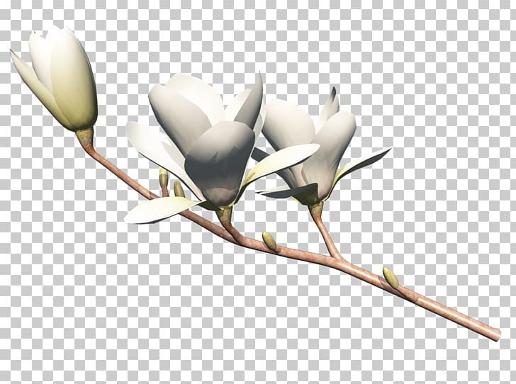 Desktop Flower Copyright PNG, Clipart, Branch, Bud, Cartoon, Computer, Computer Wallpaper Free PNG Download