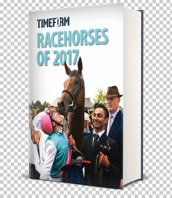 Horse Racing Timeform Racing UK Treve PNG, Clipart,  Free PNG Download