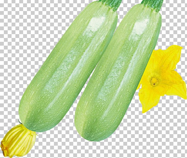 Pickled Cucumber Pepino PNG, Clipart, Cucu, Cucumber, Cucumber Cartoon, Cucumber Gourd And Melon Family, Cucumber Juice Free PNG Download