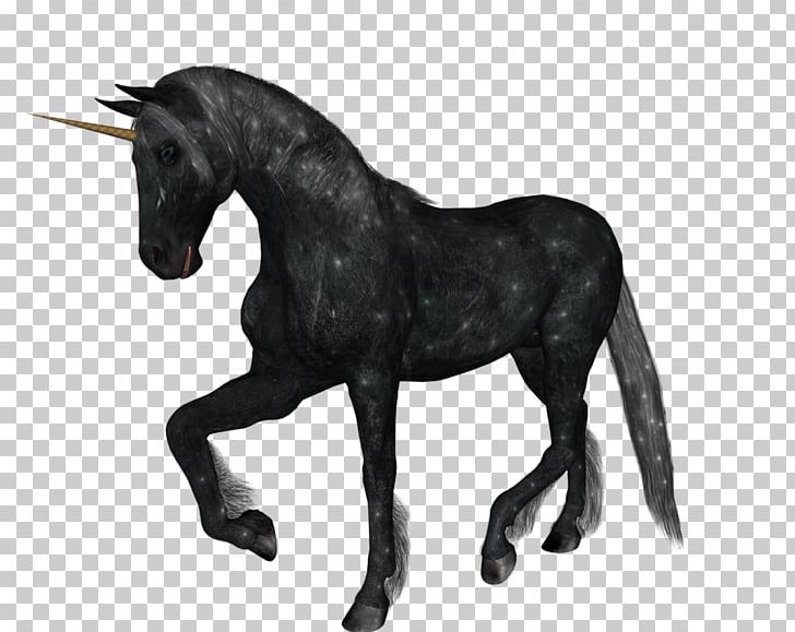 The Black Unicorn Horse PNG, Clipart, Black And White, Black Unicorn, Bridle, Computer Icons, Desktop Wallpaper Free PNG Download