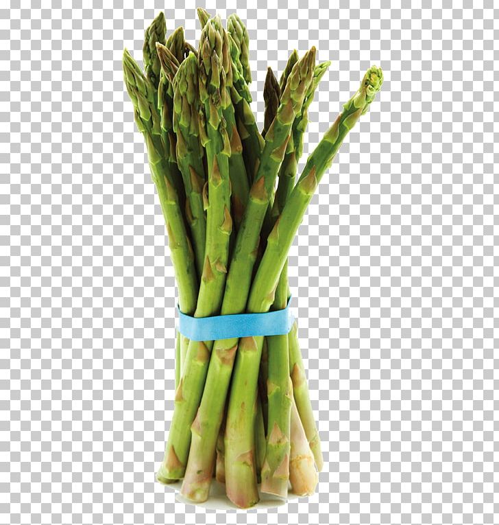 Bunch Of Asparagus Sutcliffe Farms Vegetarian Cuisine PNG, Clipart, Asparagus, Bunch, Bunch Of Asparagus, Commodity, Farms Free PNG Download