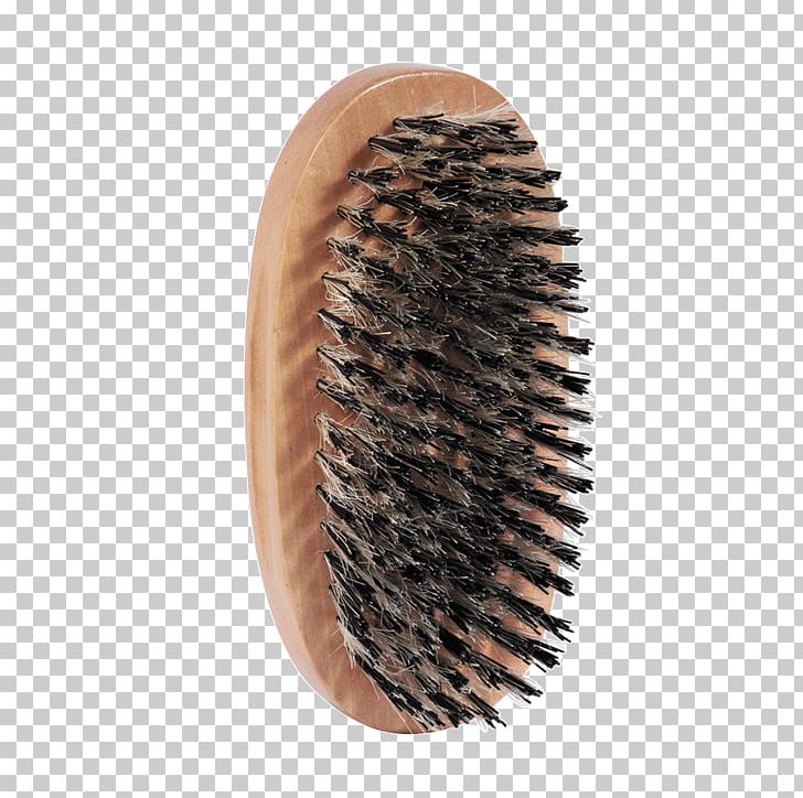 Hairbrush Comb Bristle Hair Clipper PNG, Clipart, Andis, Animals, Barber, Beard, Boar Free PNG Download