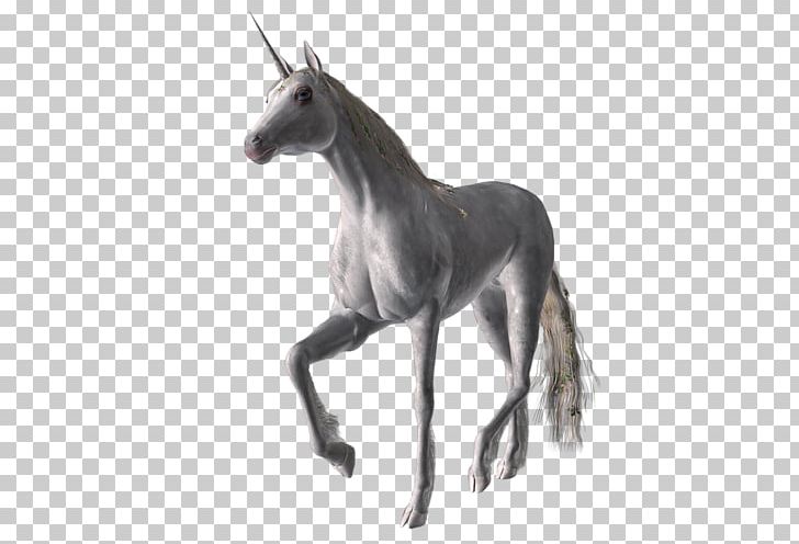 Unicorn Flying Horses Pegasus Painting Foal PNG, Clipart, 3d Computer Graphics, Animal, Animaux, Bisou, Colt Free PNG Download