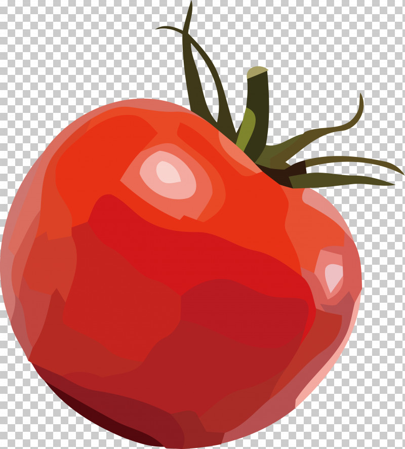 Tomato PNG, Clipart, Apple, Bell Pepper, Bush Tomato, Datterino Tomato, Local Food Free PNG Download
