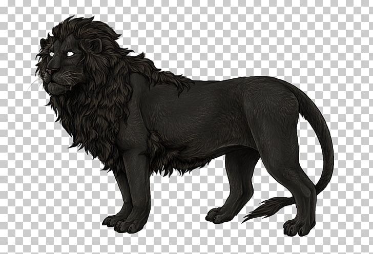 Lion Border Collie Dog Breed Melanism Rough Collie PNG, Clipart, Animals, Big, Big Cats, Black And White, Black Wolf Free PNG Download