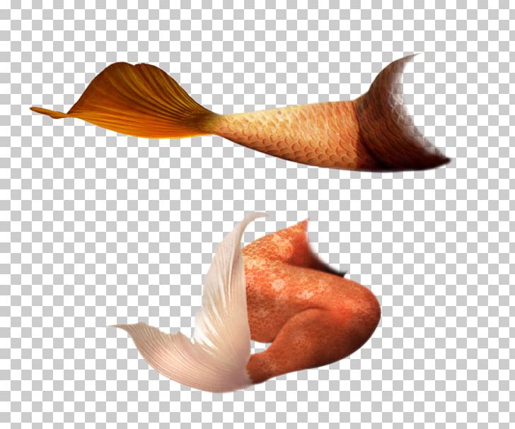 Mermaid Tail Computer Icons PNG, Clipart, Computer Icons, Encapsulated Postscript, Fairy, Fairy Tale, Fantasy Free PNG Download