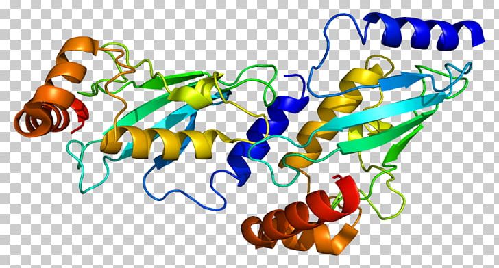 UBE2D1 Protein Ubiquitin Ligase UBE3A Ubiquitin-conjugating Enzyme PNG, Clipart, 4 P, D 1, Dna, Enzyme, Gene Free PNG Download