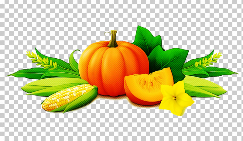 Pumpkin PNG, Clipart, Calabaza, Food, Fruit, Leaf, Local Food Free PNG Download