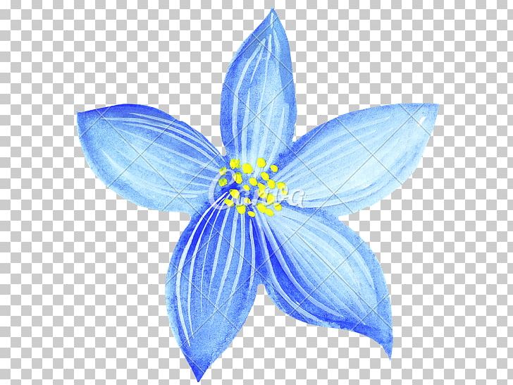 Love Drawing Watercolor Painting Blue Flower PNG, Clipart, Blue, Blue Flower, Drawing, Emotion, Flower Free PNG Download