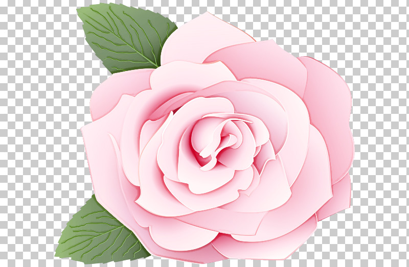 Garden Roses PNG, Clipart, Floribunda, Flower, Garden Roses, Hybrid Tea Rose, Petal Free PNG Download