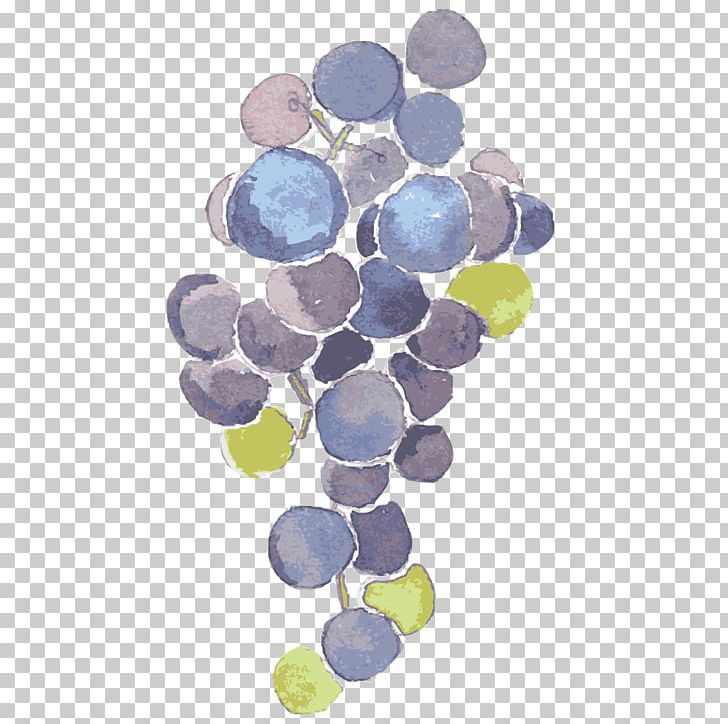 Grape U81eau7136u3068u4ebau751f PNG, Clipart, Auglis, Black Grapes, Blue, Circle, Color Free PNG Download