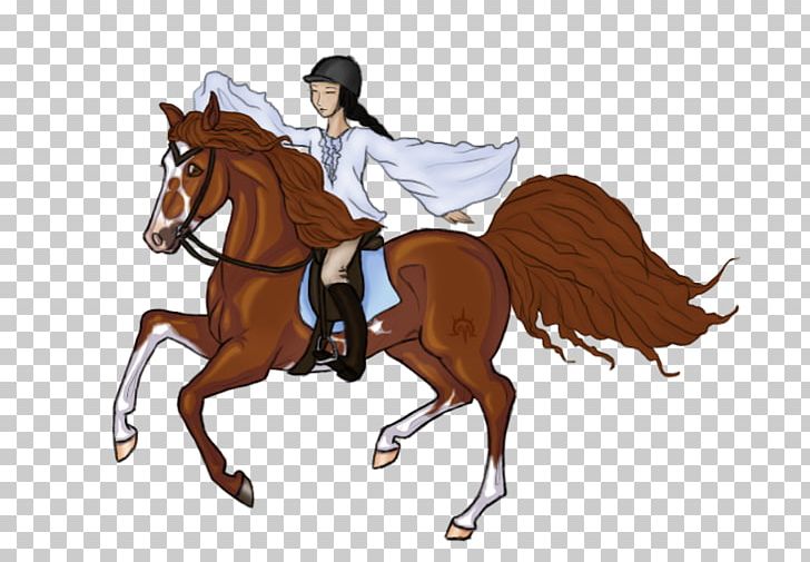 Hunt Seat Stallion Pony Rein Mustang PNG, Clipart, Animal Sports, Bridle, Cartoon, English Riding, Equestrian Free PNG Download