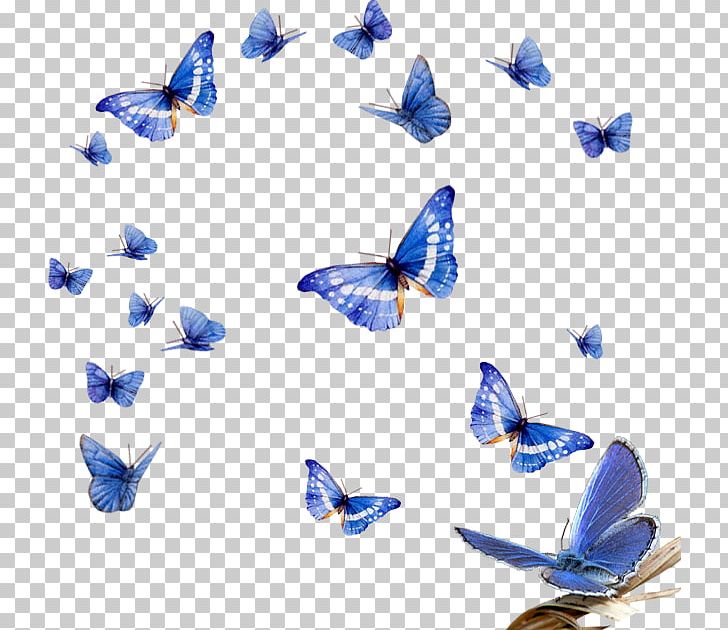 Blue Morpho Butterfly Insect PNG, Clipart, Blue, Butterflies And Moths, Butterfly, Cobalt Blue, Insect Free PNG Download