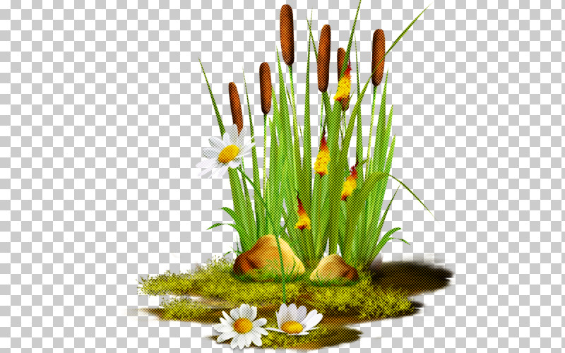 Floral Design PNG, Clipart, Crocus, Floral Design, Floristry, Flower, Flower Arranging Free PNG Download