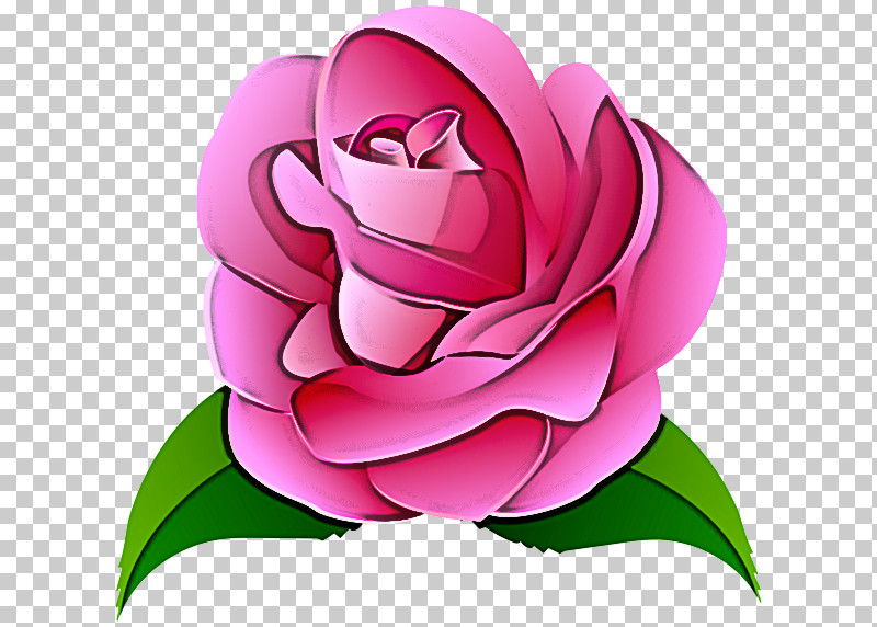 Garden Roses PNG, Clipart, Cabbage Rose, Cartoon, Garden Roses, Rose Free PNG Download